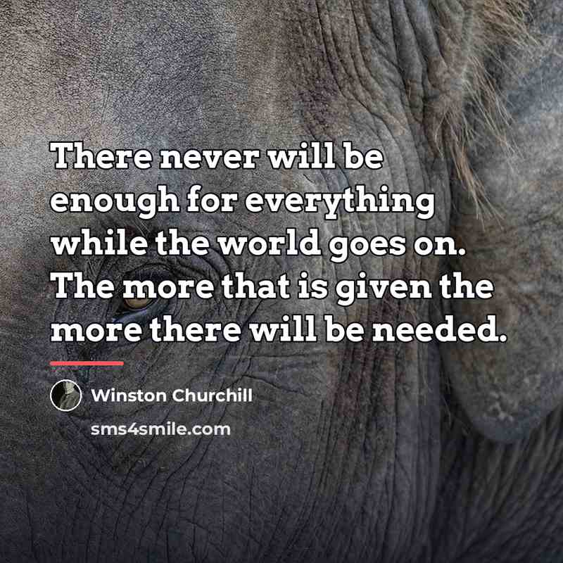 “There never will be enough for everything while the world…” quote by Winston Churchill