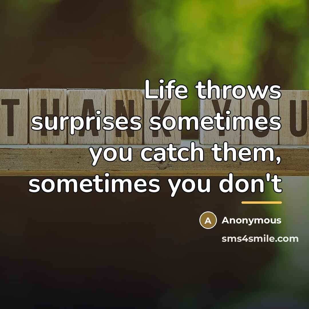 “Life throws surprises sometimes you catch them, sometimes you don't…” quote by Anonymous