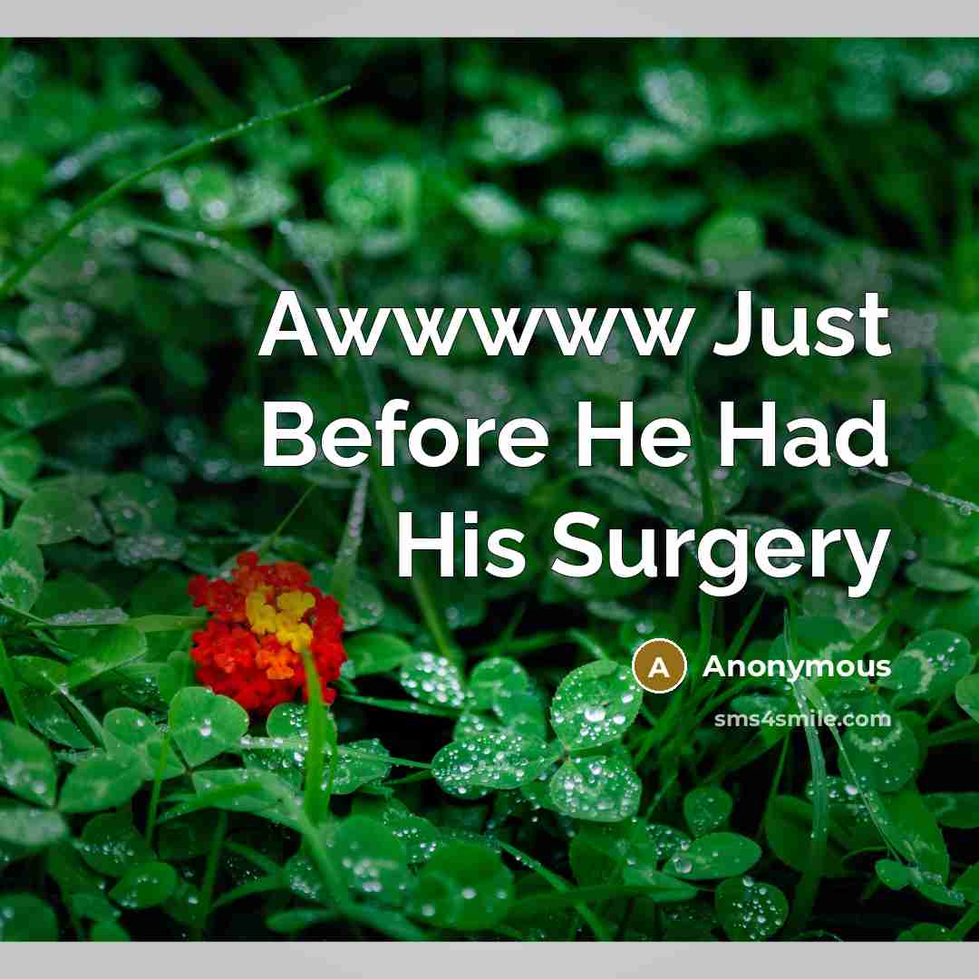 “Awwwww Just Before He Had His Surgery” quote by Anonymous