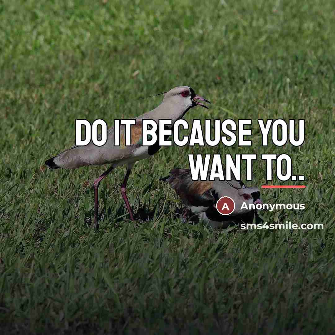 “Do it because you want to..…” quote by Anonymous