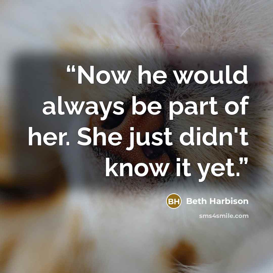 “Now he would always be part of her. She just didn't know it yet.” quote by Beth Harbison