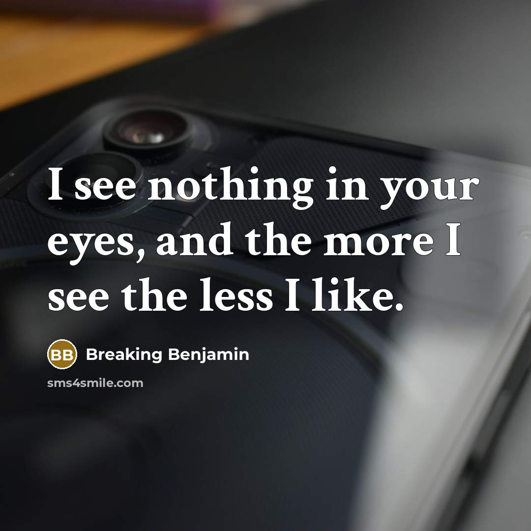 “I see nothing in your eyes, and the more I see the less I like.” quote by Breaking Benjamin