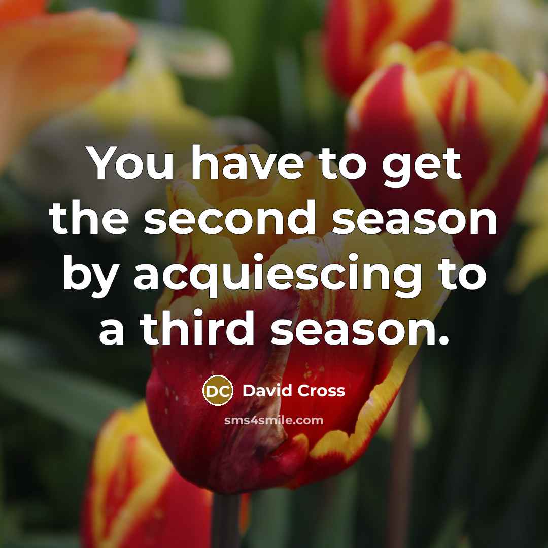 “You have to get the second season by acquiescing to…” quote by David Cross