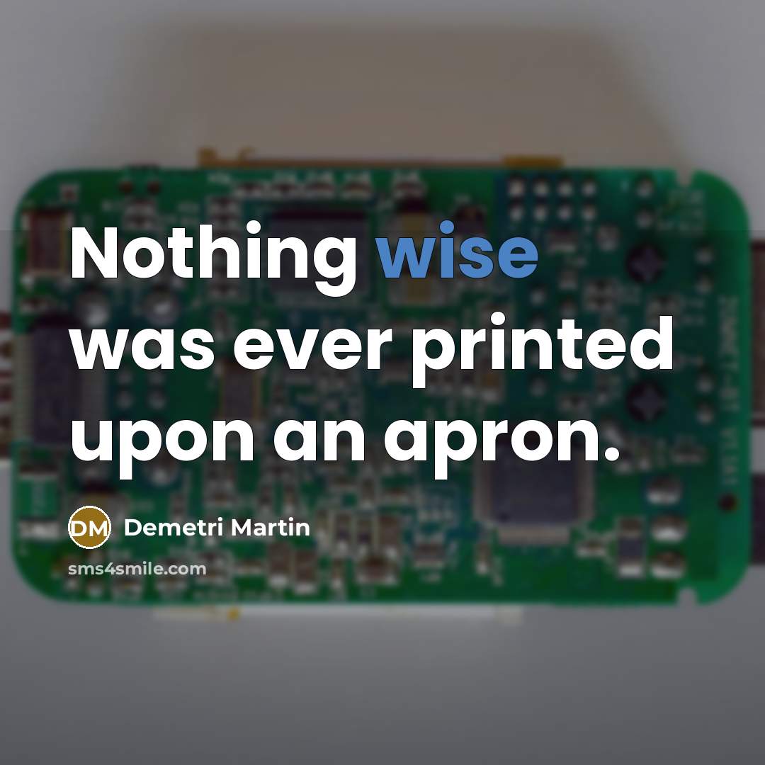 “Nothing wise was ever printed upon an apron.” quote by Demetri Martin