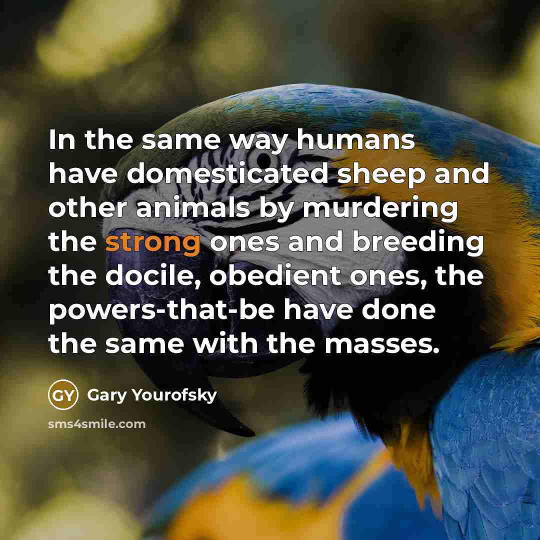 “In the same way humans have domesticated sheep and other…” quote by Gary Yourofsky