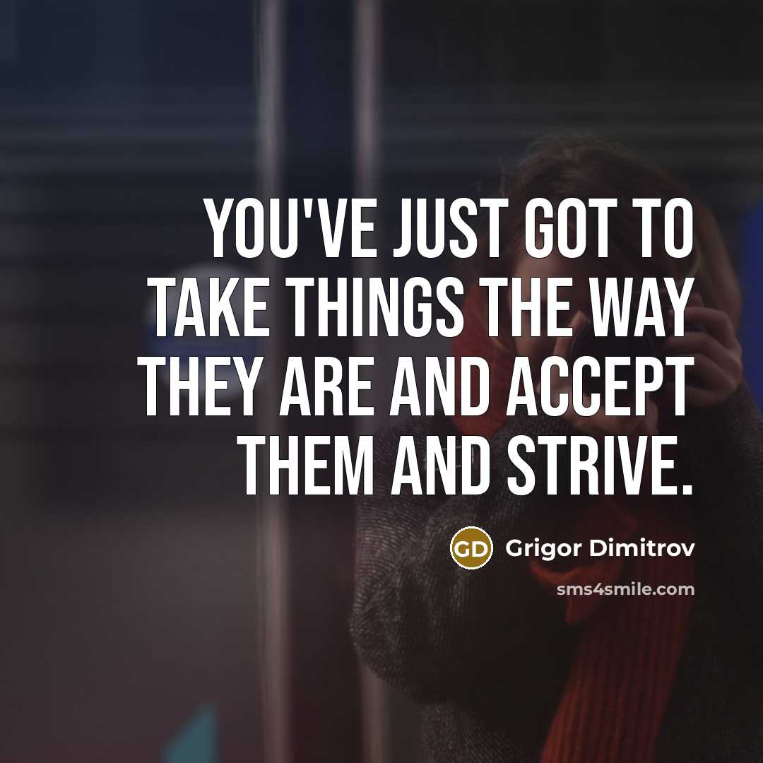 “You've just got to take things the way they are…” quote by Grigor Dimitrov