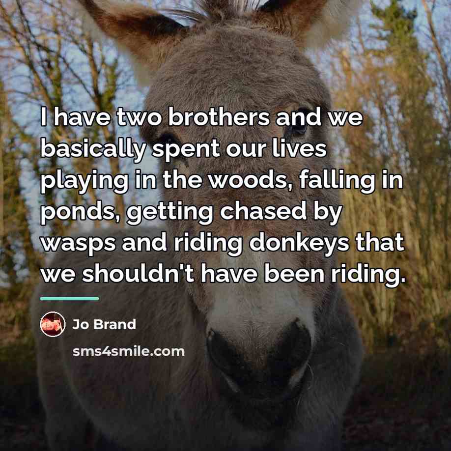 “I have two brothers and we basically spent our lives…” quote by Jo Brand