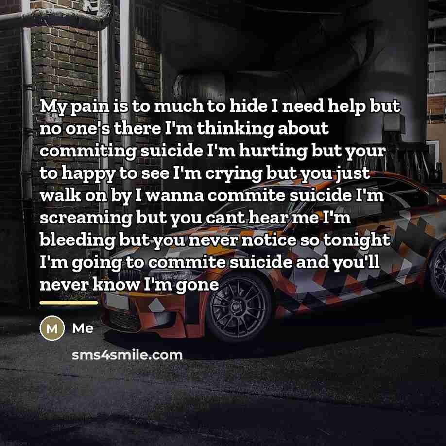 “My pain is to much to hide I need help…” quote by Me