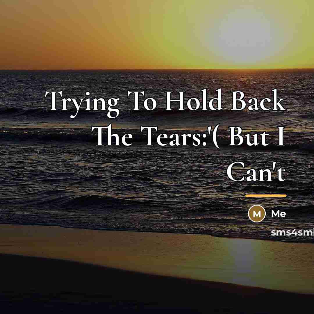“Trying To Hold Back The Tears:'( But I Can't…” quote by Me