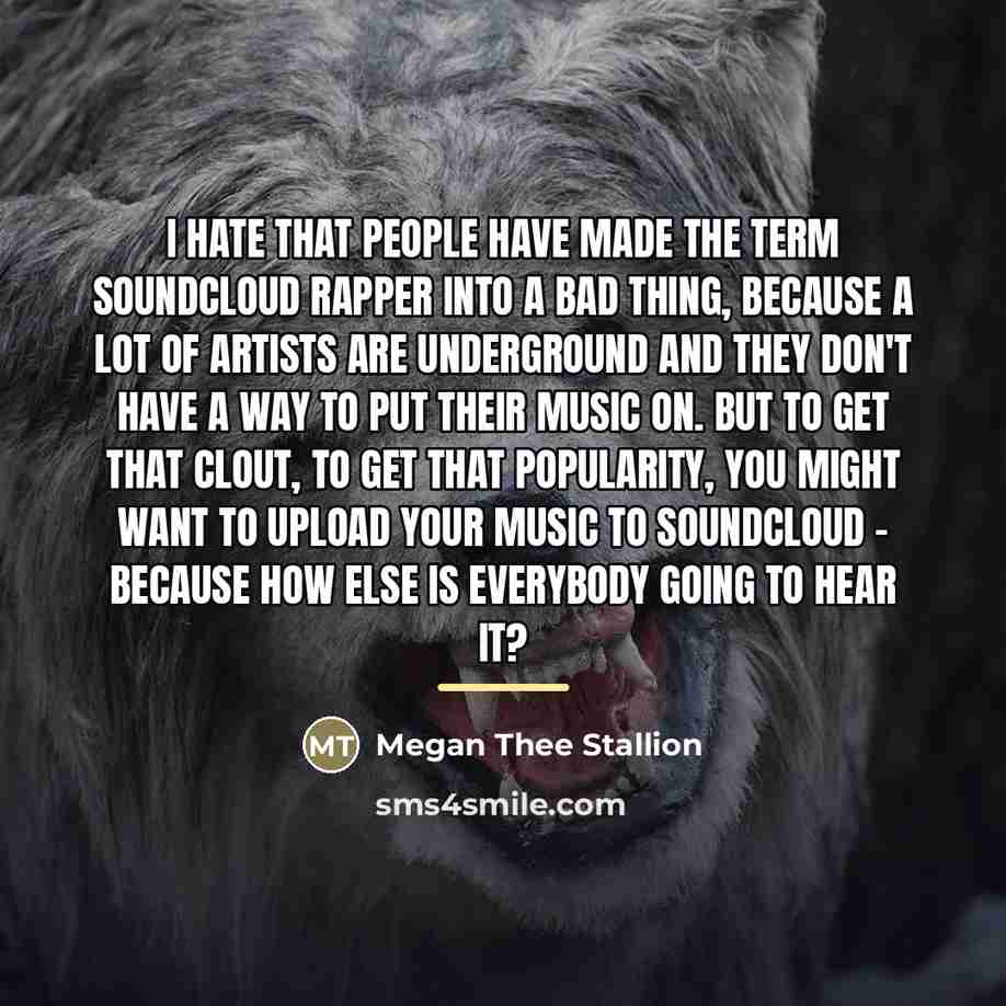 “I hate that people have made the term SoundCloud rapper…” quote by Megan Thee Stallion