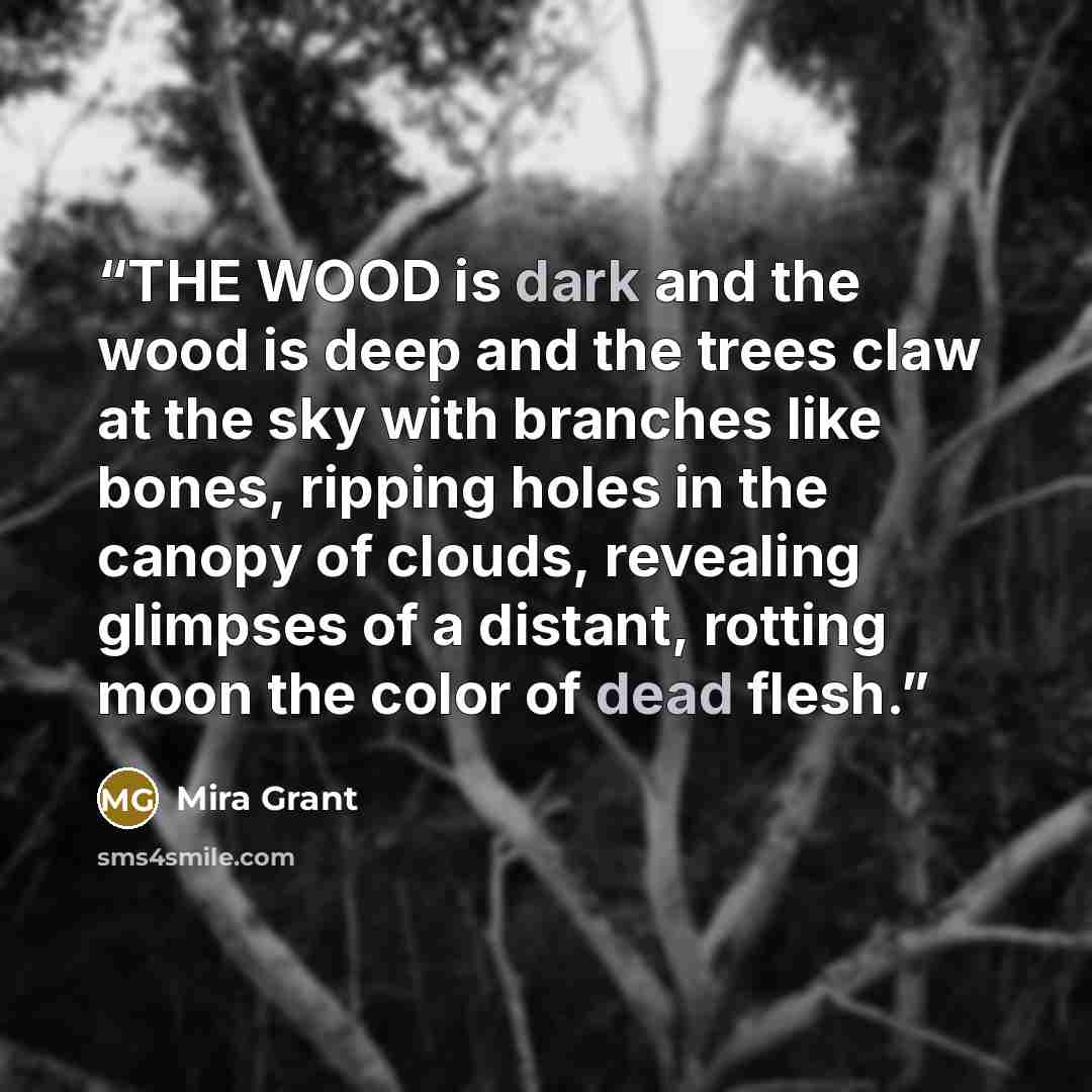 “THE WOOD is dark and the wood is deep and the trees claw at the sky with branches like bones, ripping holes in the canopy of clouds, revealing glimpses of a distant, rotting moon the color of dead flesh.” quote by Mira Grant