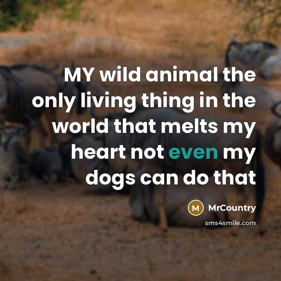 “MY wild animal the only living thing in the world…” quote by MrCountry