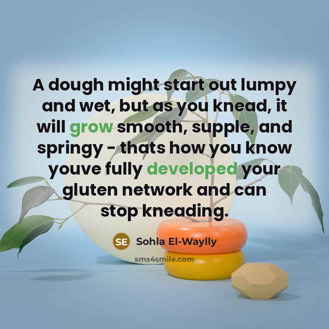 “A dough might start out lumpy and wet, but as you knead, it will grow smooth, supple, and springy - thats how you know youve fully developed your gluten network and can stop kneading.” quote by Sohla El-Waylly