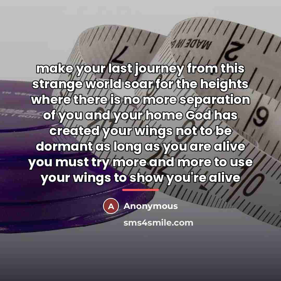 “make your last journey from this strange world soar for…” quote by Anonymous