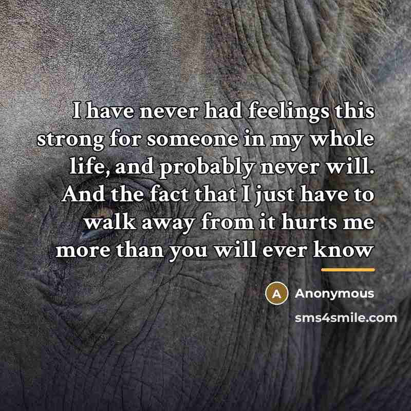 “I have never had feelings this strong for someone in…” quote by Anonymous