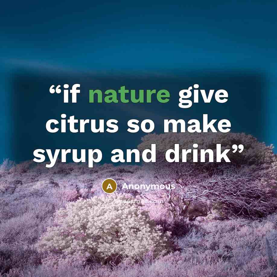 “if nature give citrus so make syrup and drink” quote by Anonymous