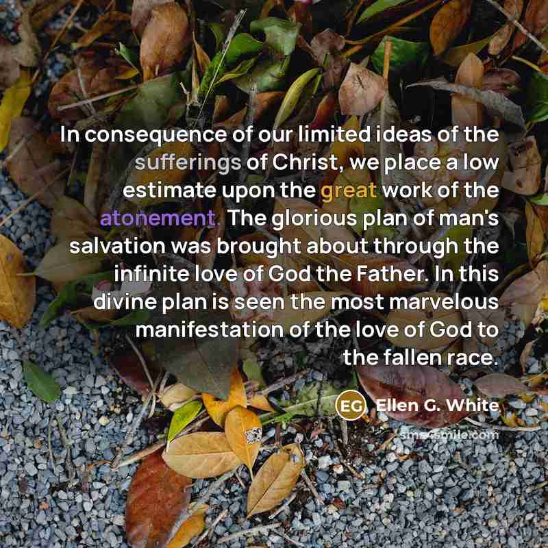 “In consequence of our limited ideas of the sufferings of…” quote by Ellen G. White