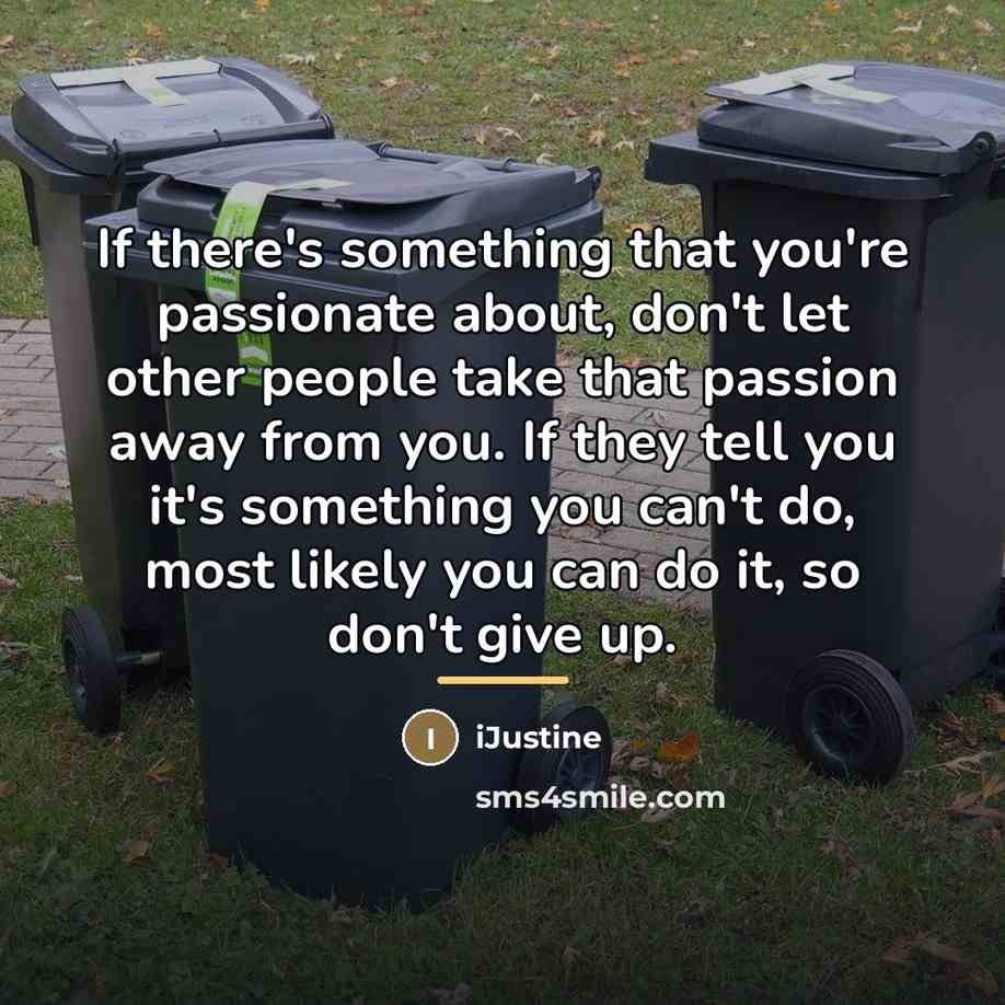 “If there's something that you're passionate about, don't let other…” quote by iJustine