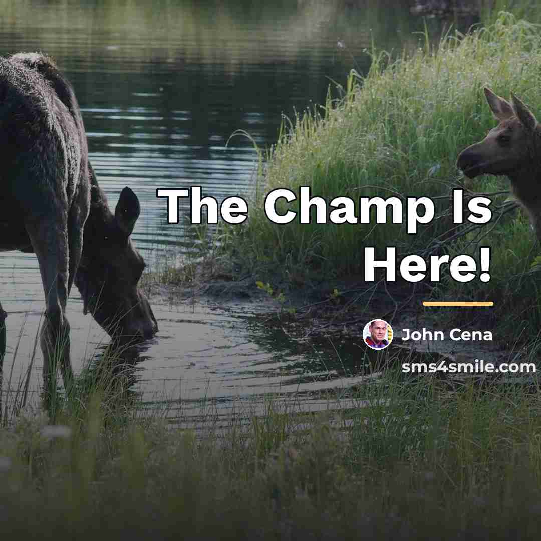 “The Champ Is Here!…” quote by John Cena