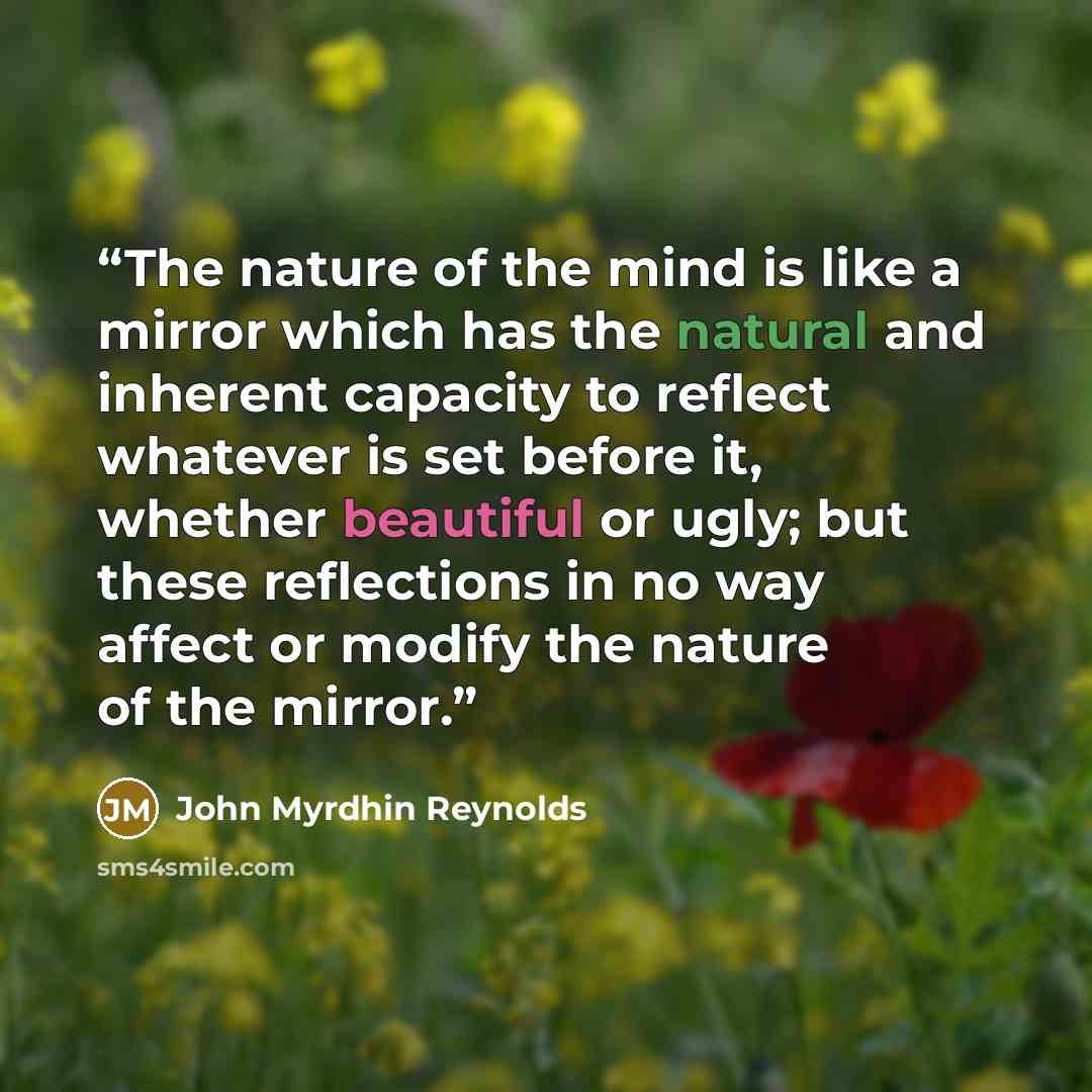 “The nature of the mind is like a mirror which has the natural and inherent capacity to reflect whatever is set before it, whether beautiful or ugly; but these reflections in no way affect or modify the nature of the mirror.” quote by John Myrdhin Reynolds