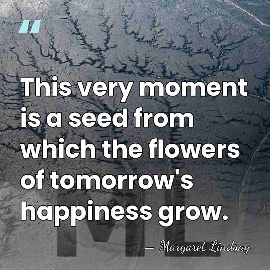 This very moment is a seed from which the flowers of tomorrow's&hellip; - Margaret Lindsay