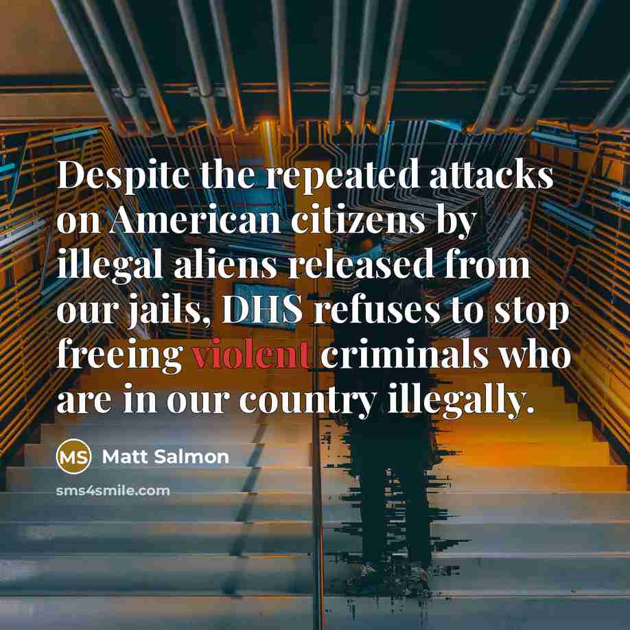 “Despite the repeated attacks on American citizens by illegal aliens…” quote by Matt Salmon