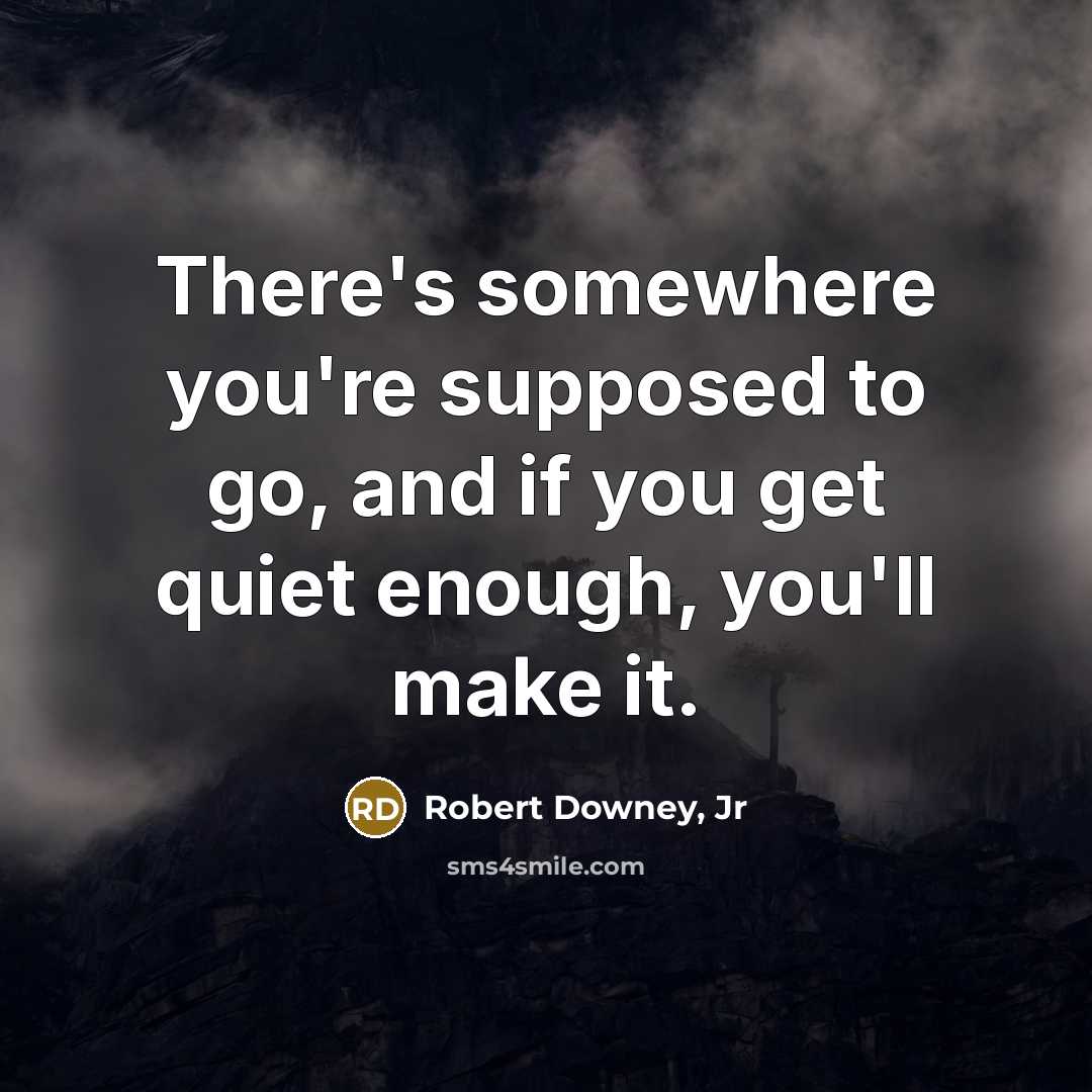 “There's somewhere you're supposed to go, and if you get…” quote by Robert Downey, Jr