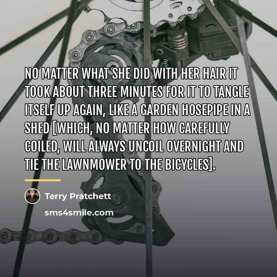 “No matter what she did with her hair it took…” quote by Terry Pratchett