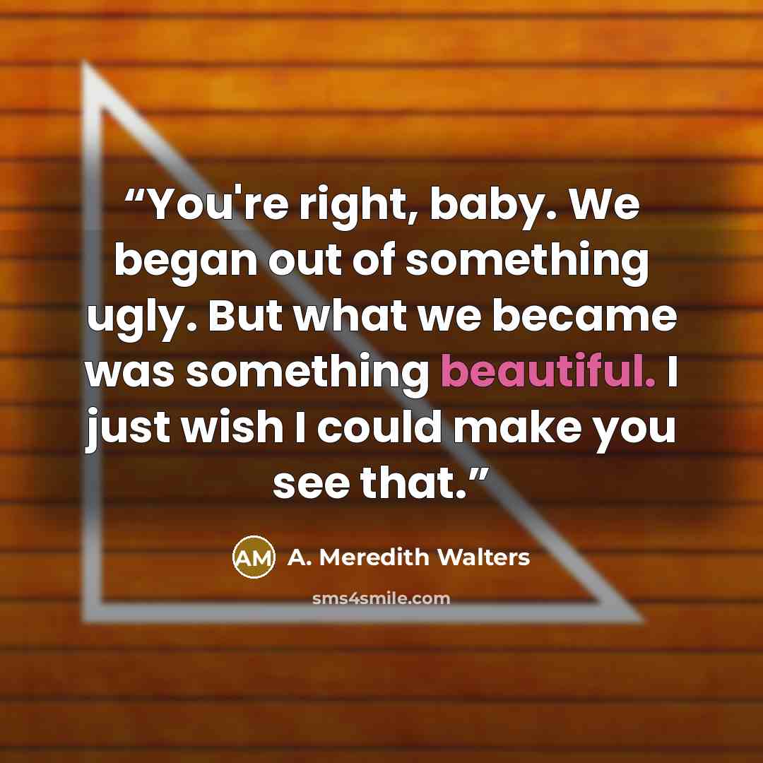 “You're right, baby. We began out of something ugly. But what we became was something beautiful. I just wish I could make you see that.” quote by A. Meredith Walters