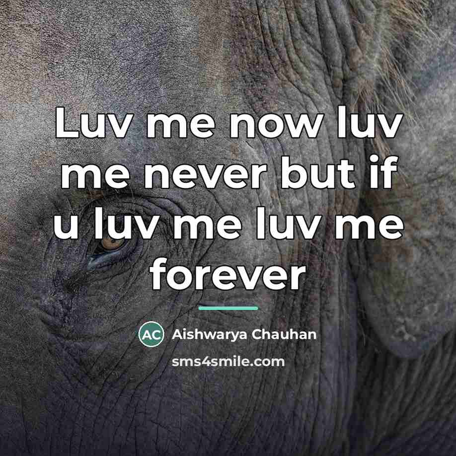 “Luv me now luv me never but if u luv…” quote by Aishwarya Chauhan