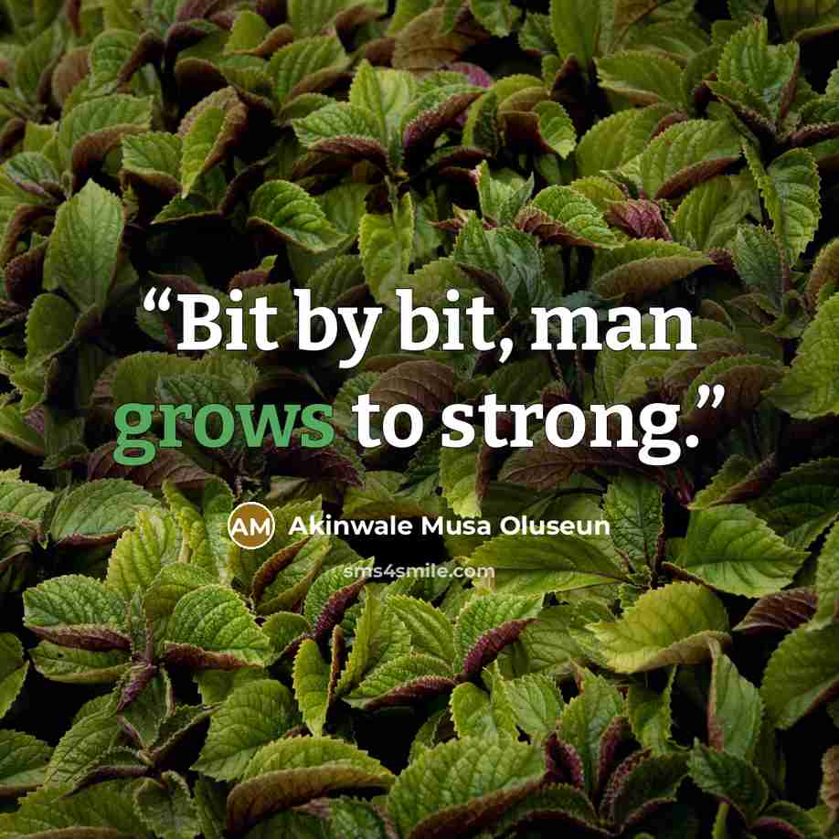 “Bit by bit, man grows to strong.” quote by Akinwale Musa Oluseun