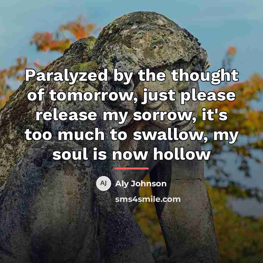 “Paralyzed by the thought of tomorrow, just please release my…” quote by Aly Johnson