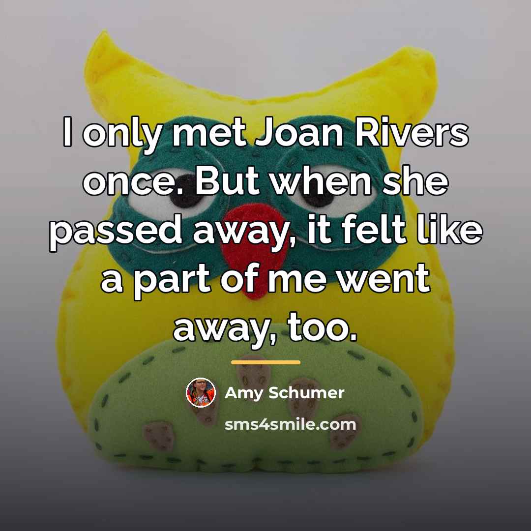 “I only met Joan Rivers once. But when she passed…” quote by Amy Schumer