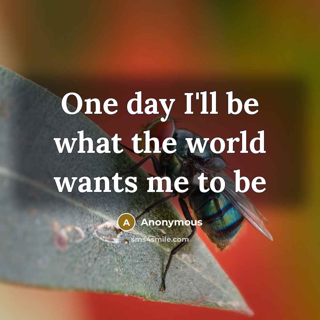 “One day I'll be what the world wants me to…” quote by Anonymous