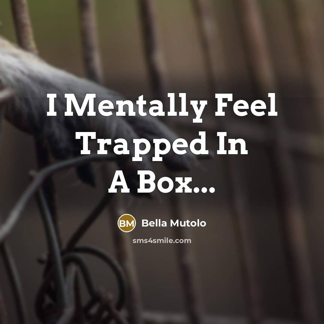 “I Mentally Feel Trapped In A Box...” quote by Bella Mutolo