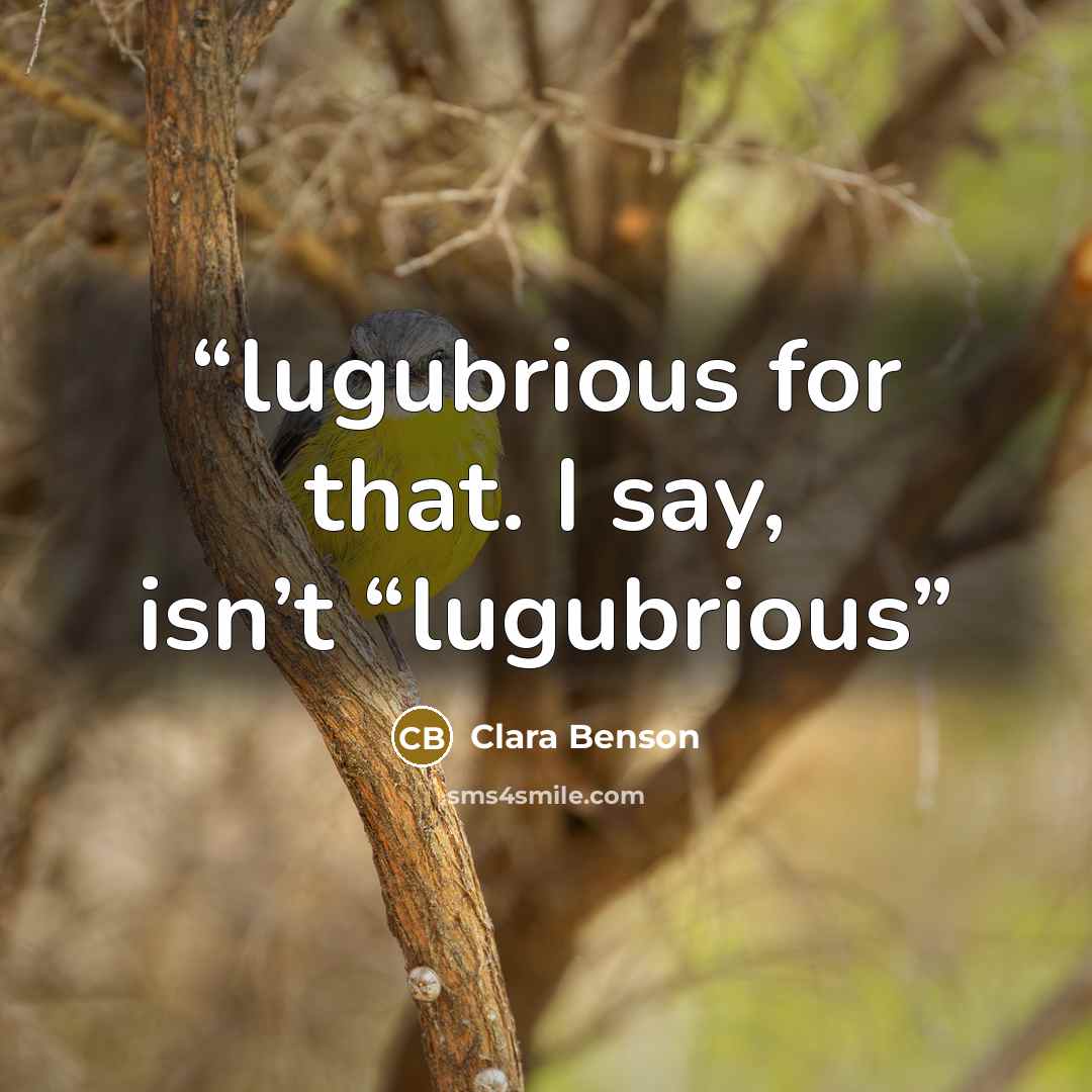 “lugubrious for that. I say, isn’t “lugubrious” quote by Clara Benson