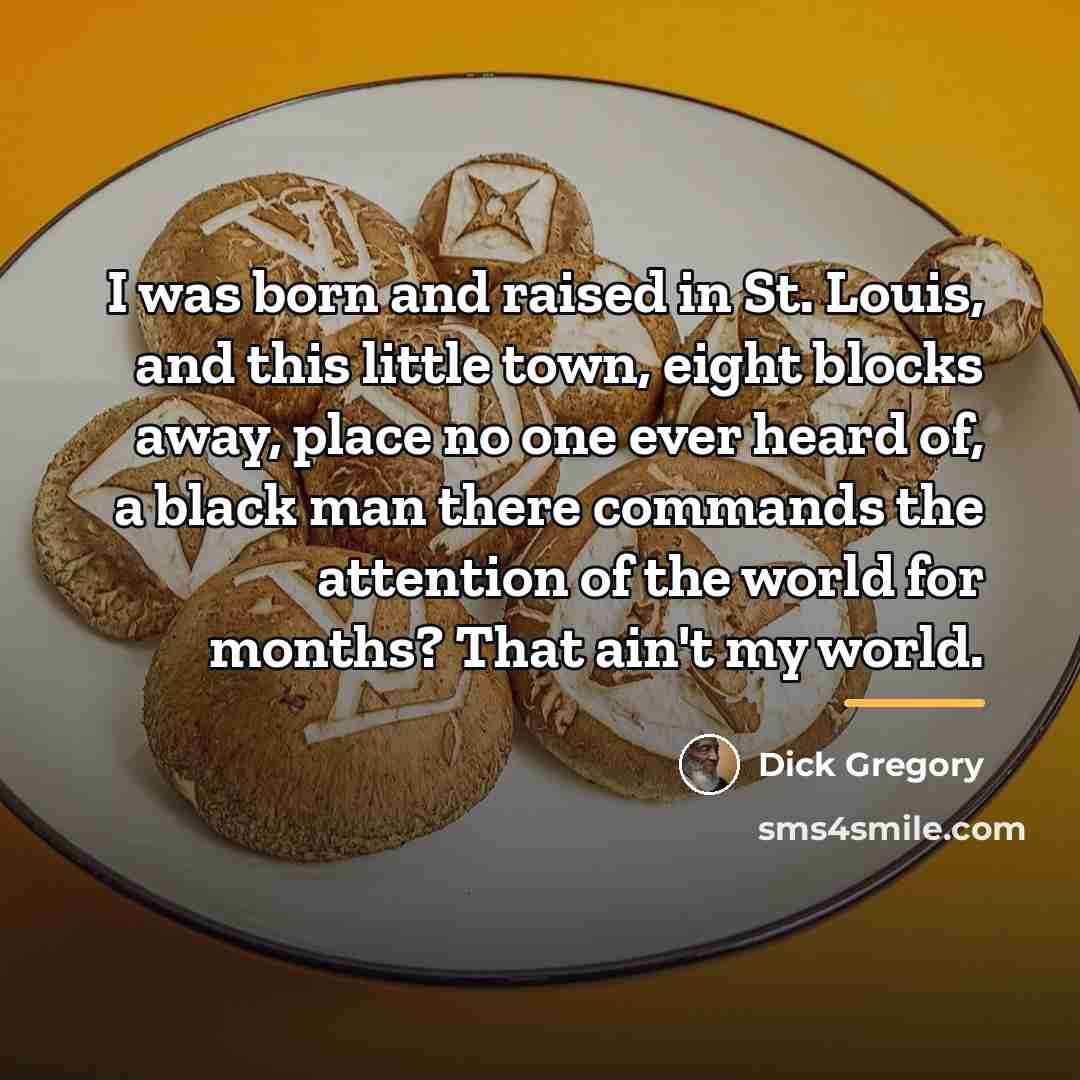 “I was born and raised in St. Louis, and this…” quote by Dick Gregory