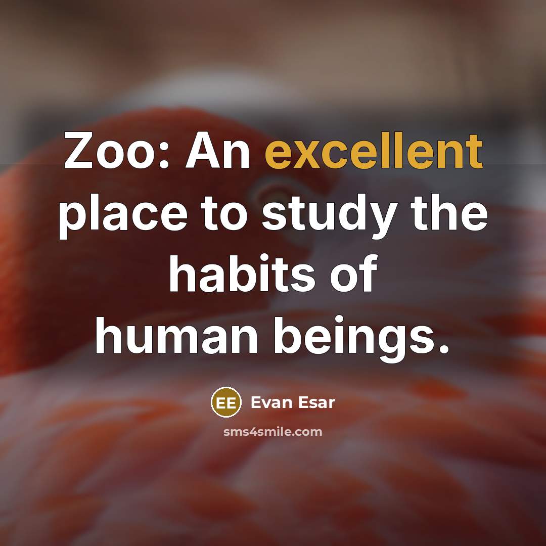“Zoo: An excellent place to study the habits of human beings.” quote by Evan Esar