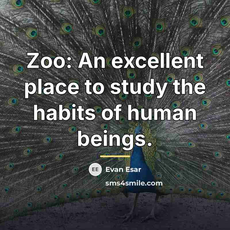 “Zoo: An excellent place to study the habits of human…” quote by Evan Esar