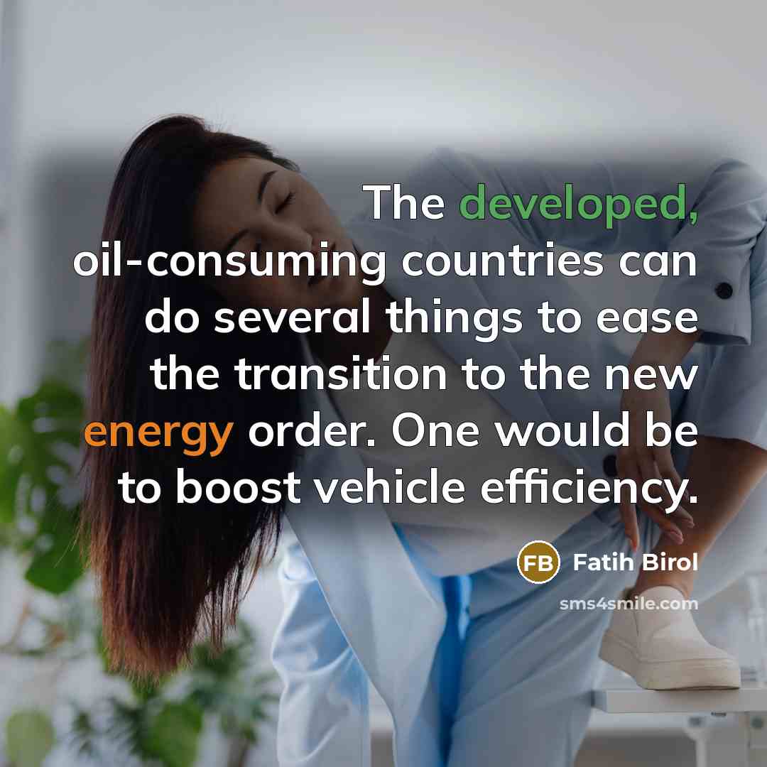 “The developed, oil-consuming countries can do several things to ease the transition to the new energy order. One would be to boost vehicle efficiency.” quote by Fatih Birol