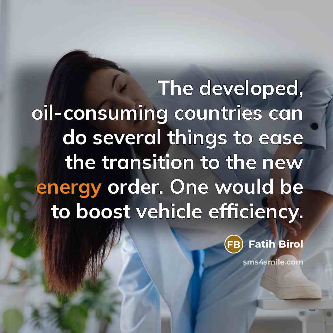 “The developed, oil-consuming countries can do several things to ease…” quote by Fatih Birol