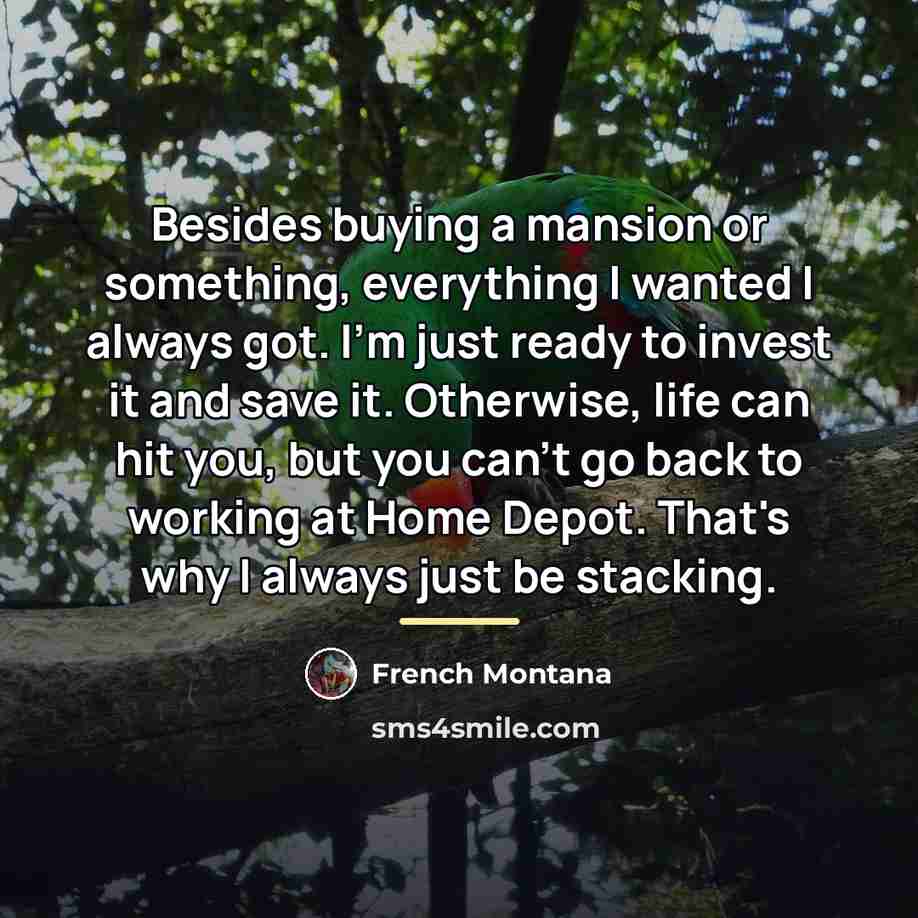 “Besides buying a mansion or something, everything I wanted I…” quote by French Montana