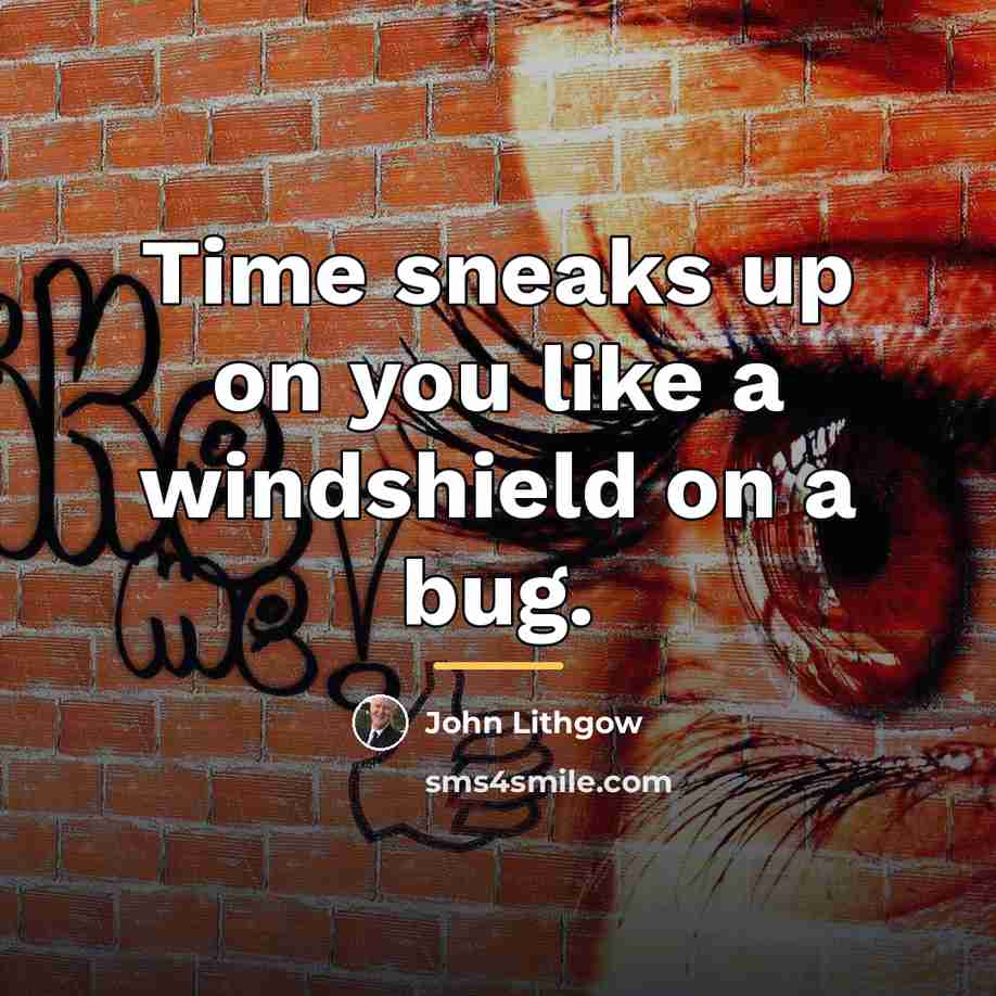 “Time sneaks up on you like a windshield on a…” quote by John Lithgow