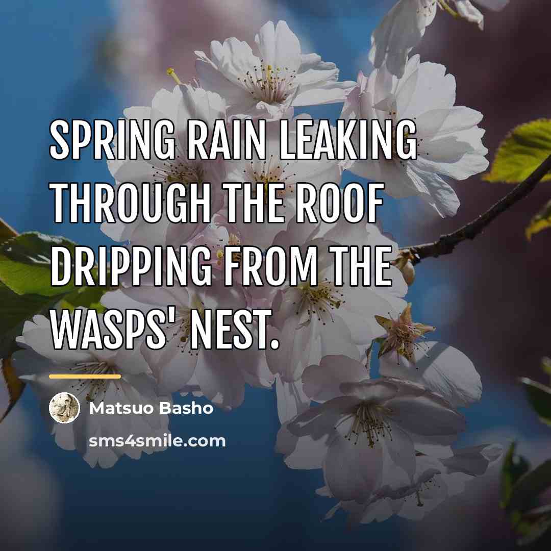 “Spring rain leaking through the roof dripping from the wasps'…” quote by Matsuo Basho