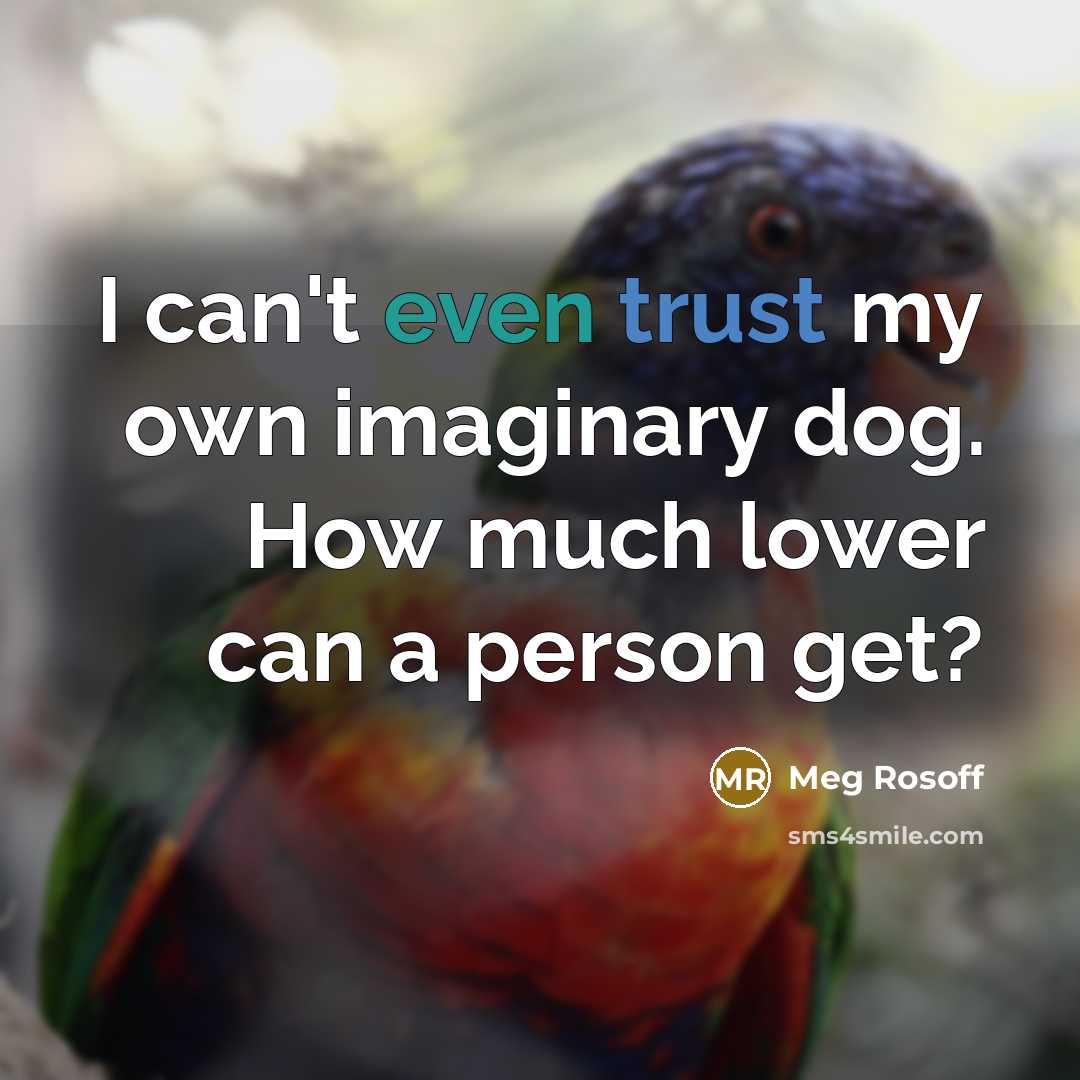 “I can't even trust my own imaginary dog. How much lower can a person get?” quote by Meg Rosoff