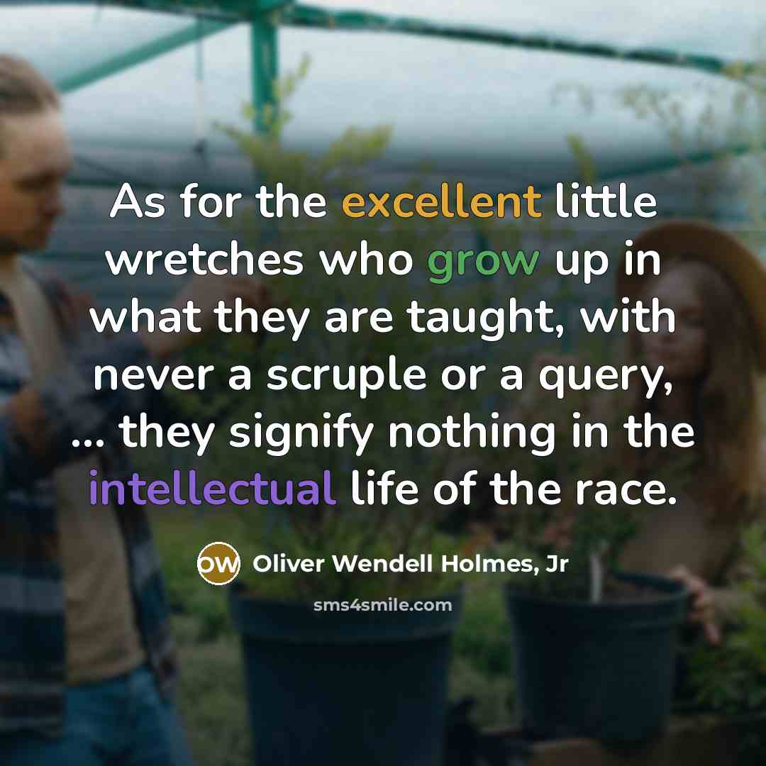 “As for the excellent little wretches who grow up in what they are taught, with never a scruple or a query, ... they signify nothing in the intellectual life of the race.” quote by Oliver Wendell Holmes, Jr