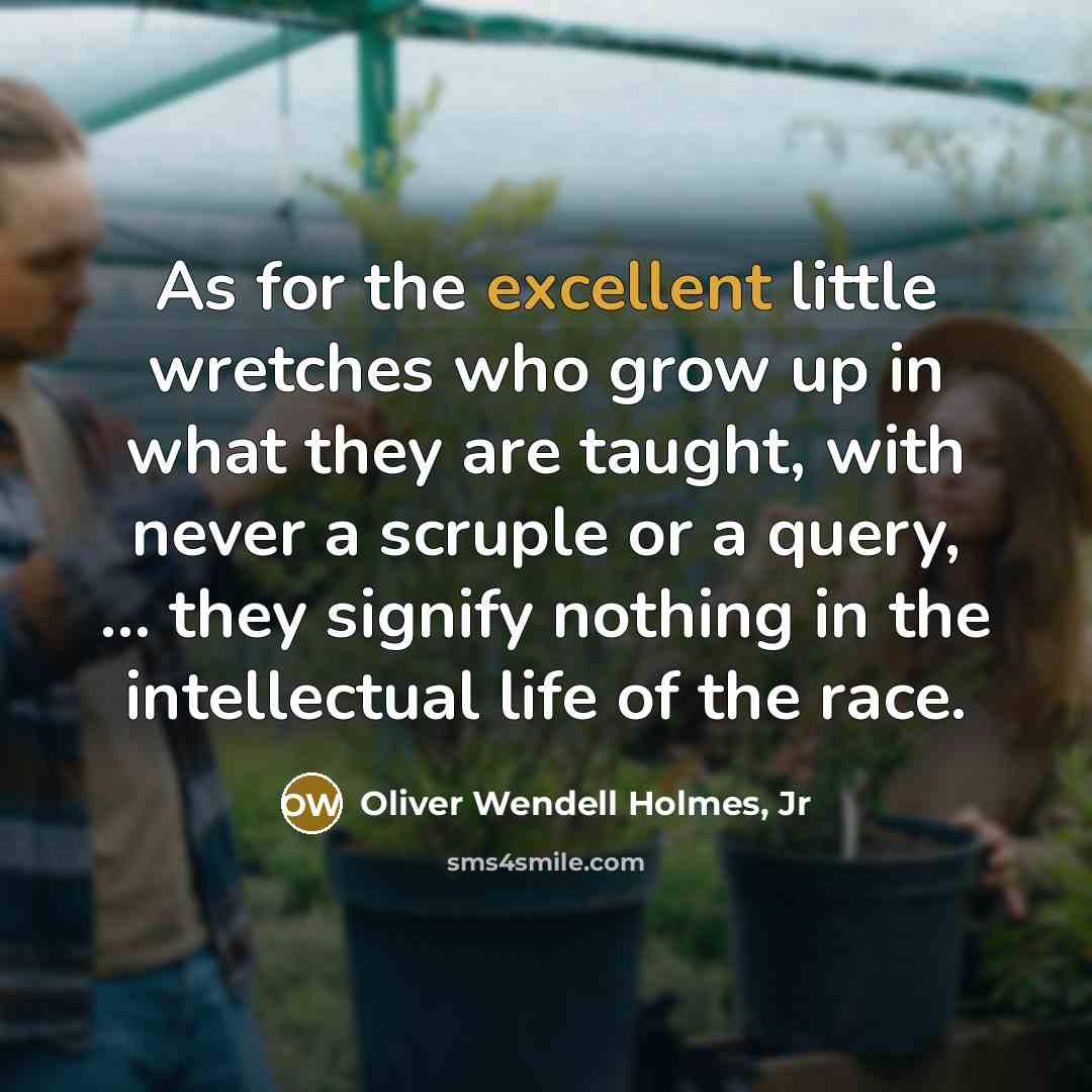 “As for the excellent little wretches who grow up in…” quote by Oliver Wendell Holmes, Jr