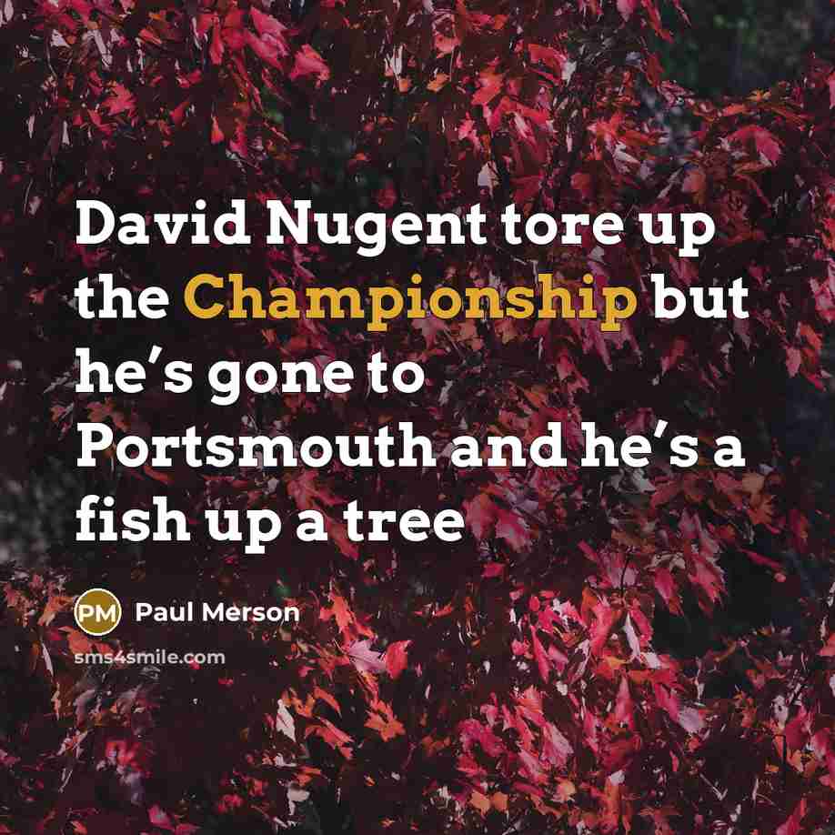“David Nugent tore up the Championship but he’s gone to…” quote by Paul Merson