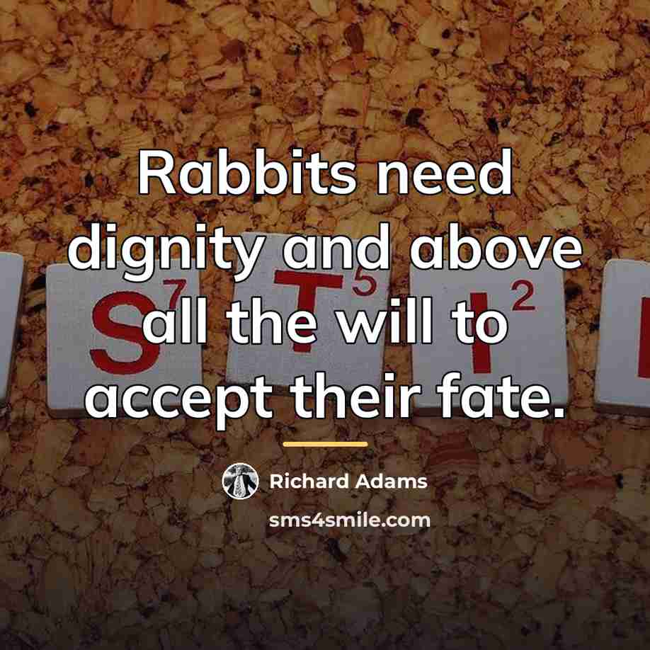 “Rabbits need dignity and above all the will to accept…” quote by Richard Adams