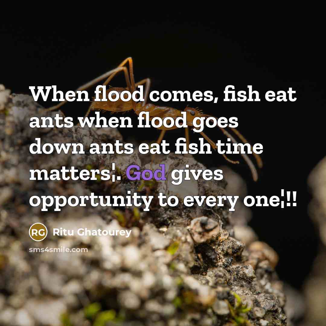 “When flood comes, fish eat ants when flood goes down ants eat fish time matters¦. God gives opportunity to every one¦!!” quote by Ritu Ghatourey